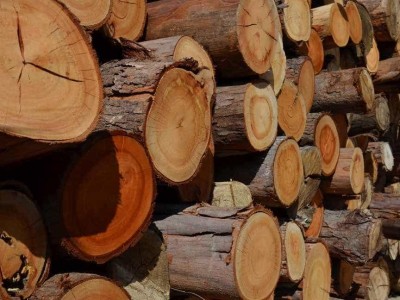 木材