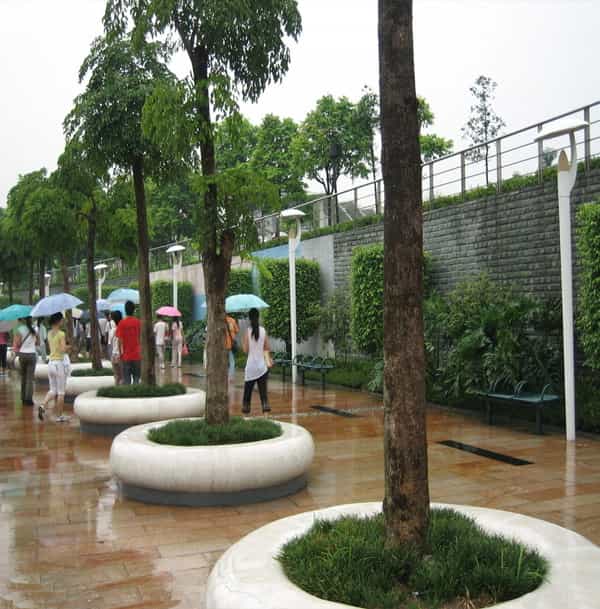 成品树池图片大全,树池图片大全_大山谷图库